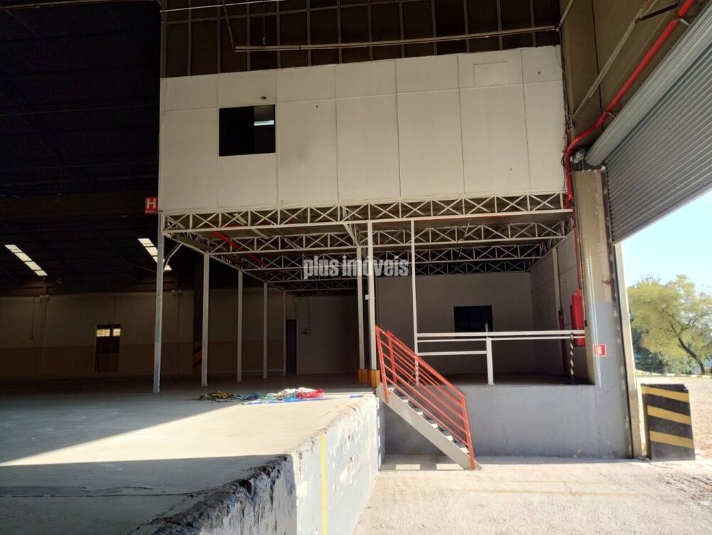 Depósito-Galpão, 6000 m² - Foto 9