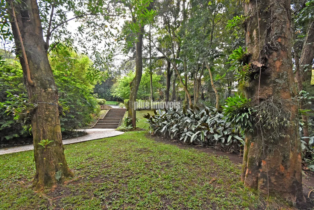 Casa, 4 quartos, 976 m² - Foto 5
