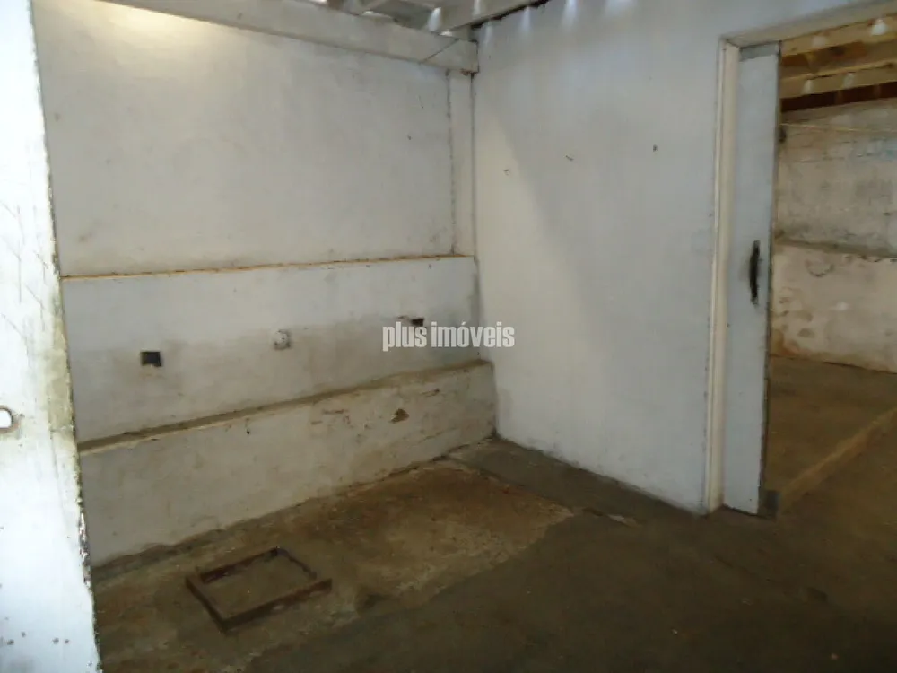 Terreno, 250 m² - Foto 4
