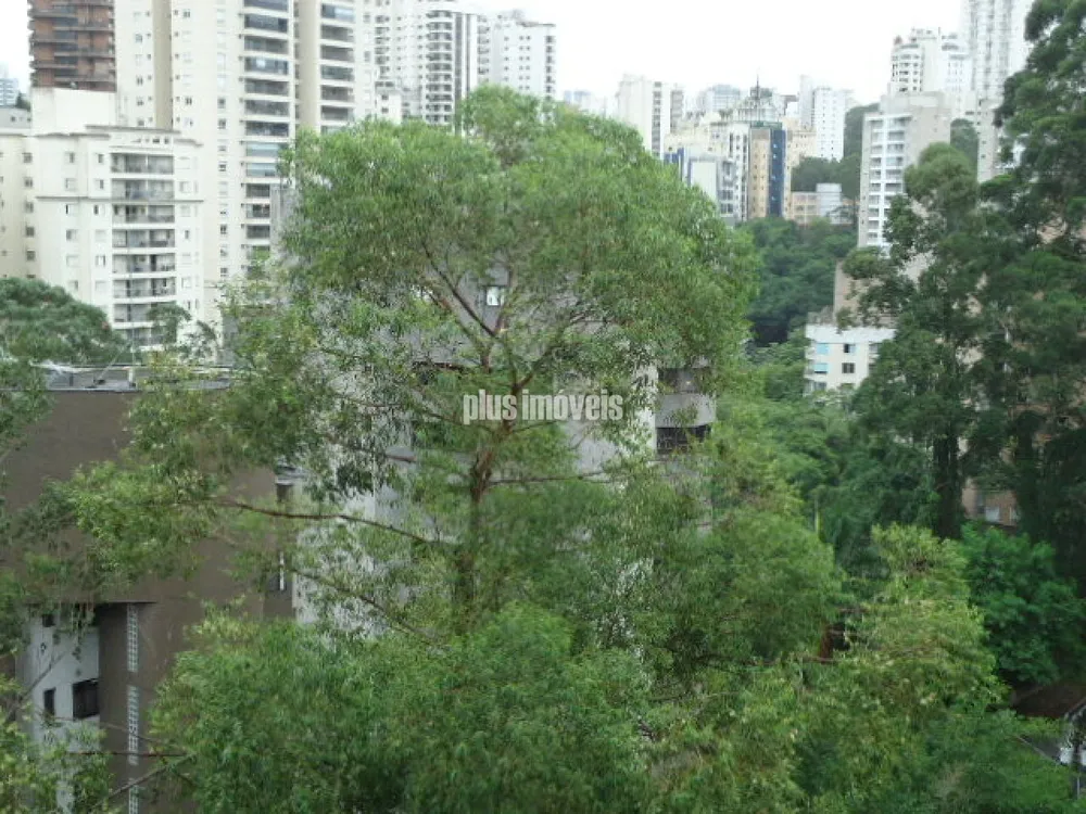Terreno, 250 m² - Foto 1