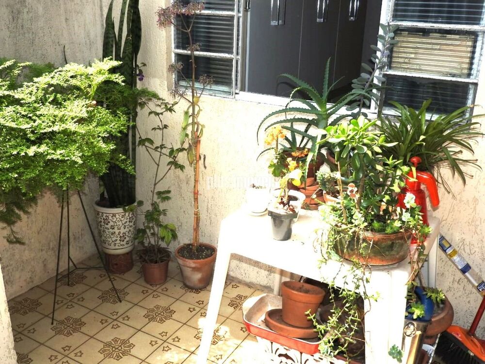 Casa, 3 quartos, 110 m² - Foto 16