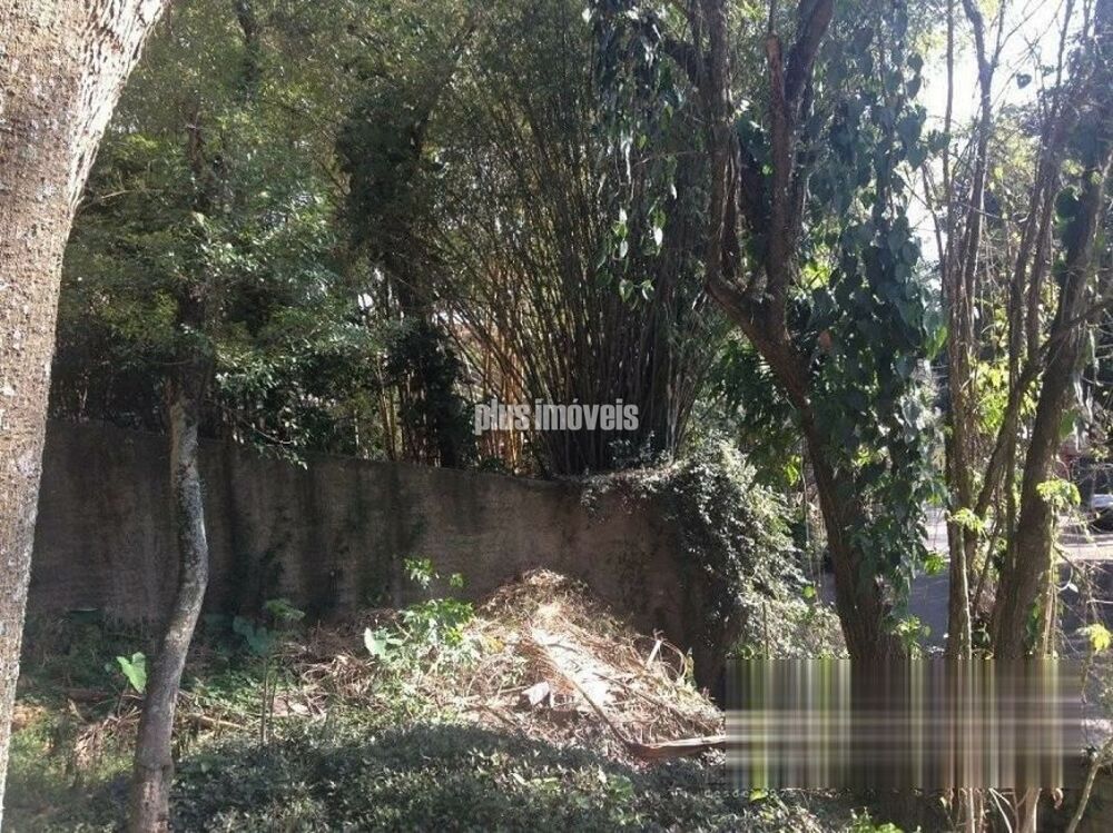 Terreno, 530 m² - Foto 2