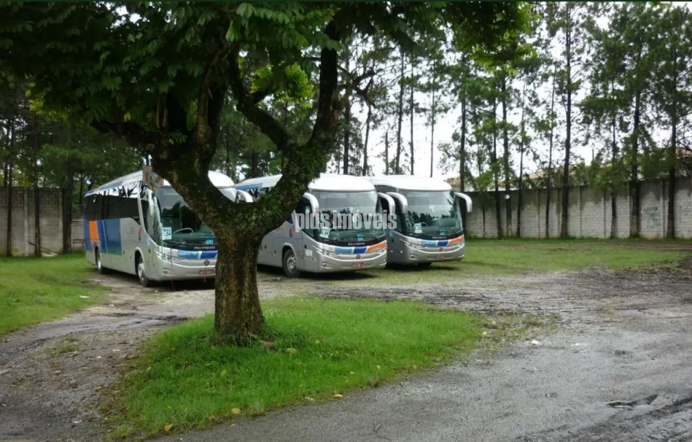 Terreno, 4354 m² - Foto 5