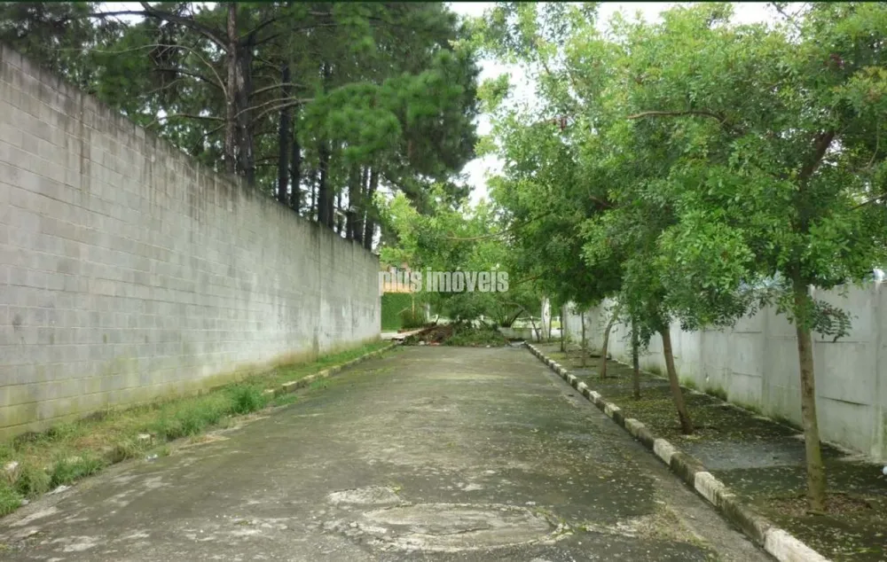 Terreno, 4354 m² - Foto 2