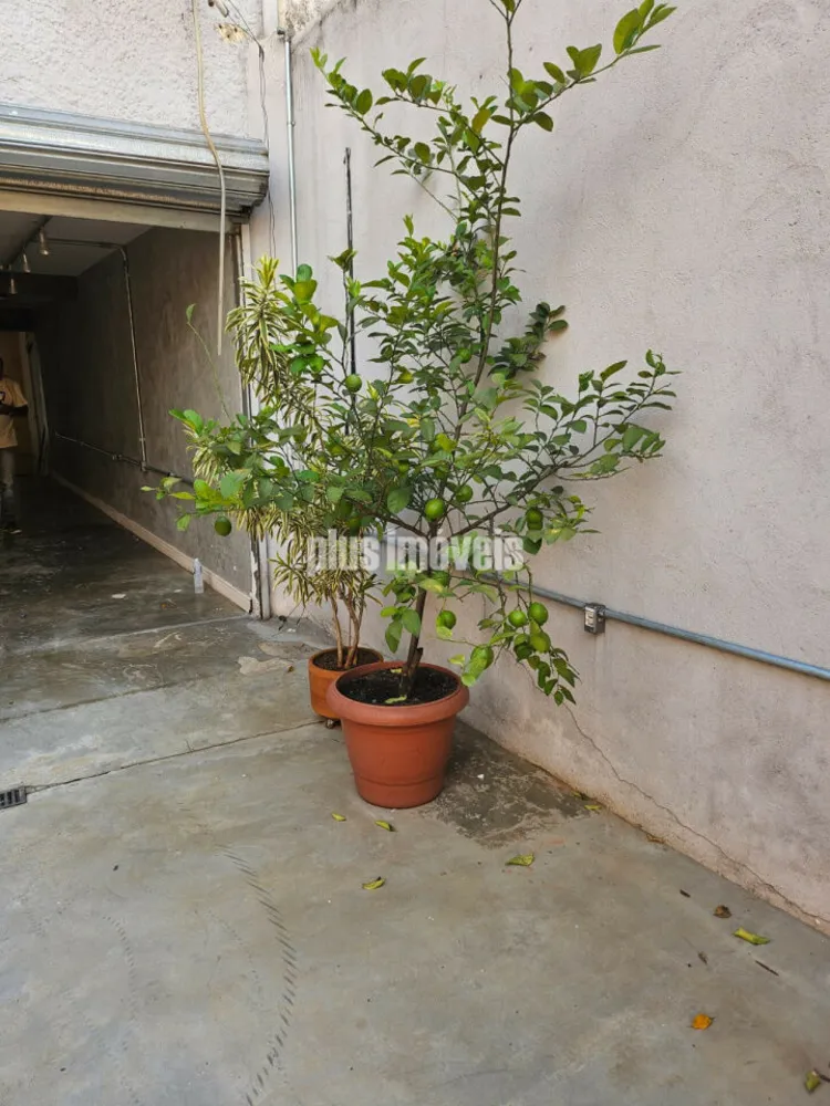 Casa Comercial, 200 m² - Foto 2