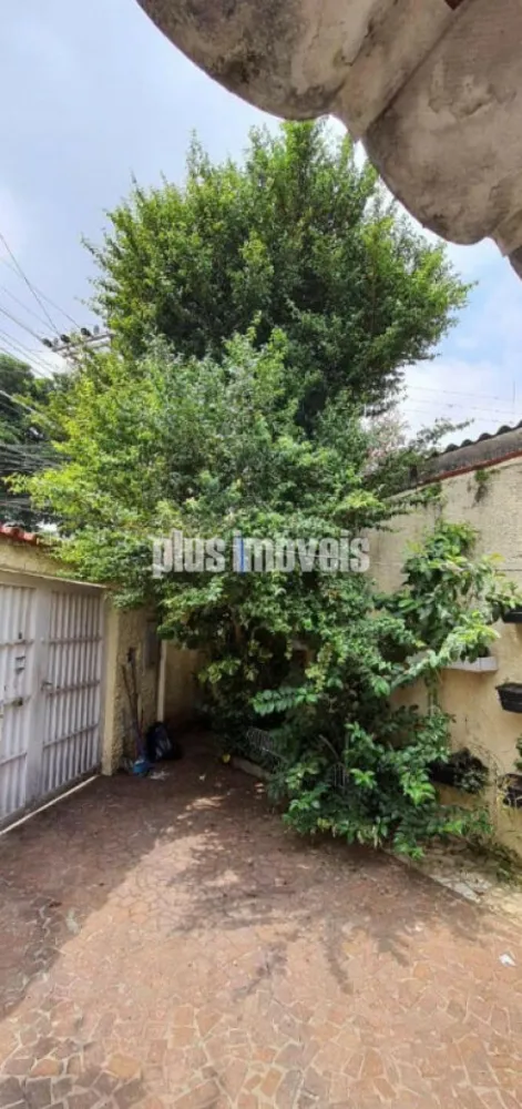 Casa, 3 quartos, 200 m² - Foto 4