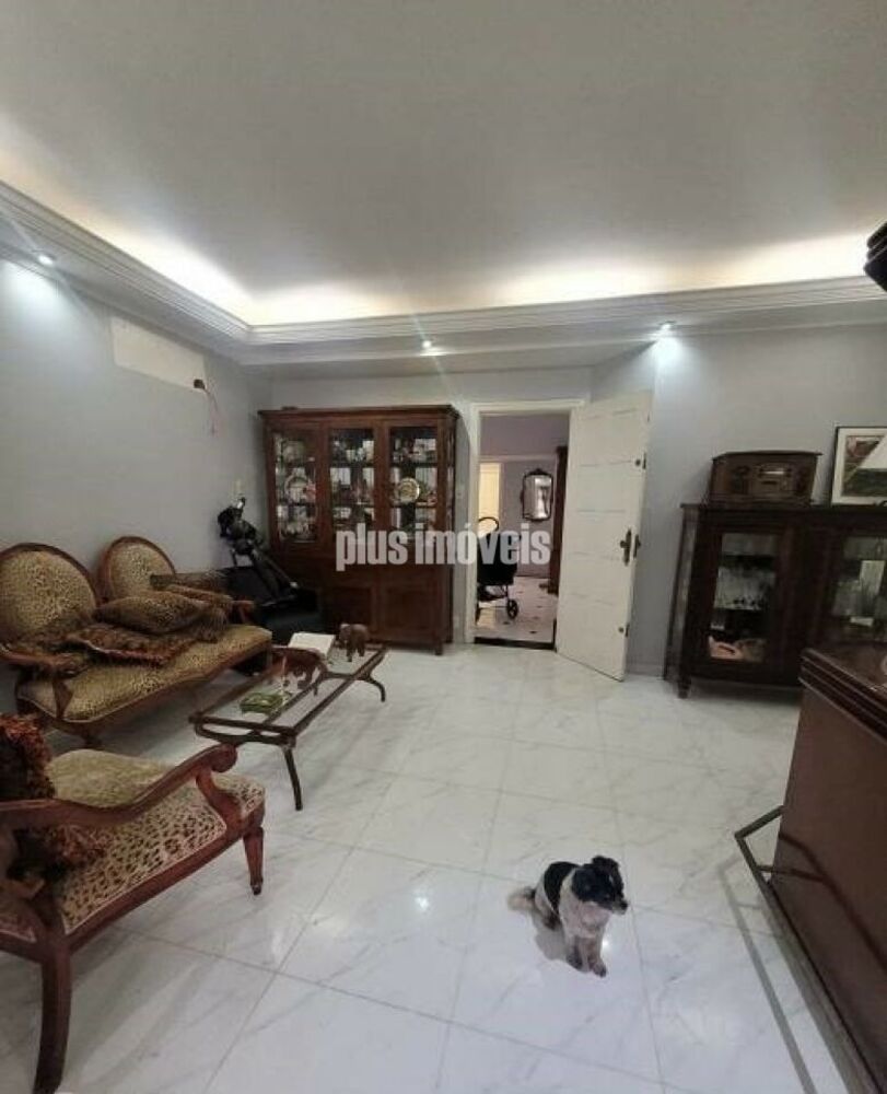 Casa, 4 quartos, 450 m² - Foto 7