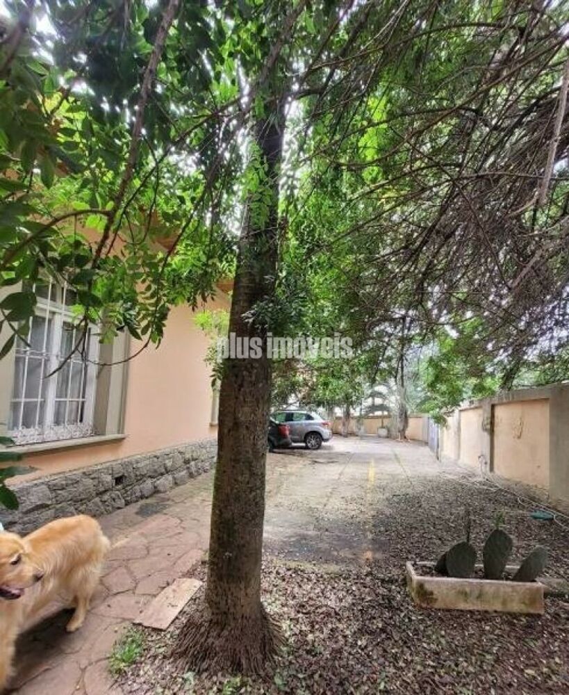Casa, 4 quartos, 450 m² - Foto 23