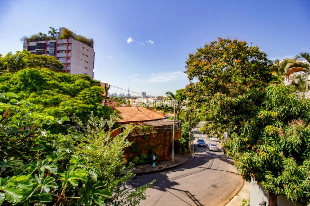 Loja-Salão, 513 m² - Foto 3