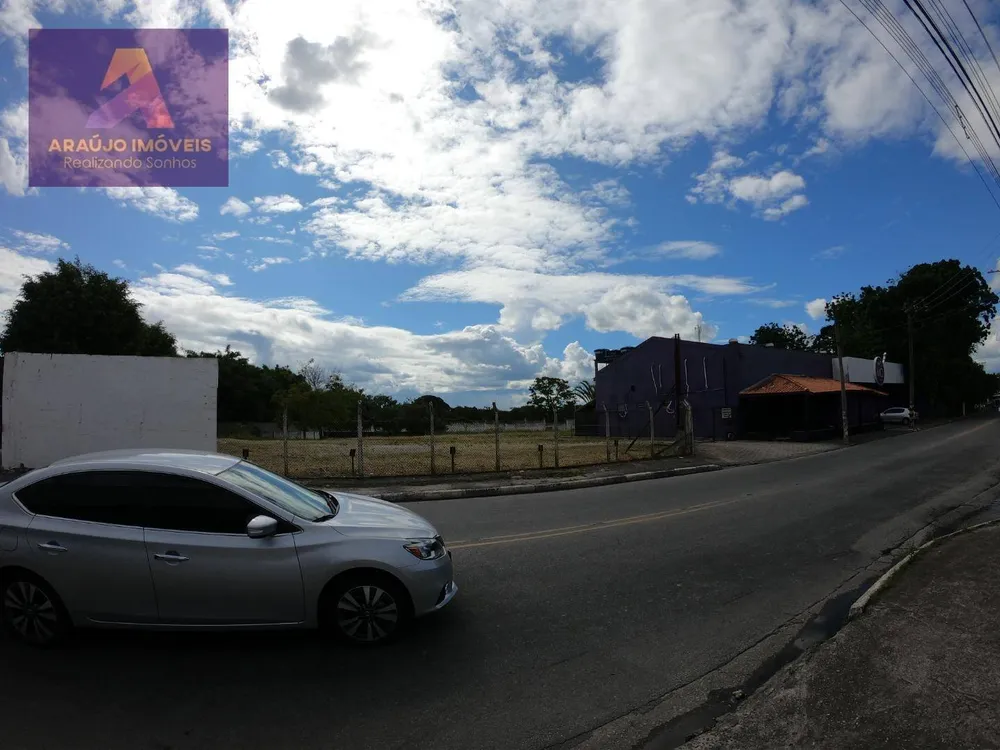 Terreno, 4 hectares - Foto 4