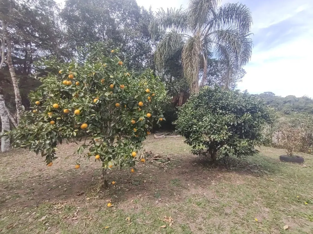 Chácara, 23 m² - Foto 9
