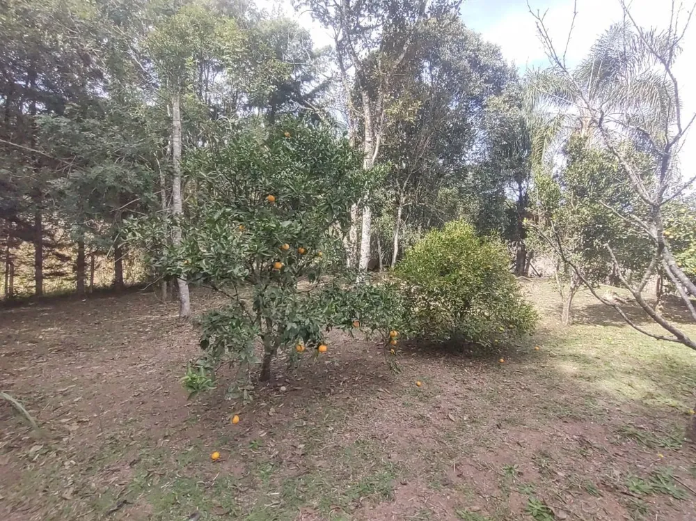 Chácara, 23 m² - Foto 7