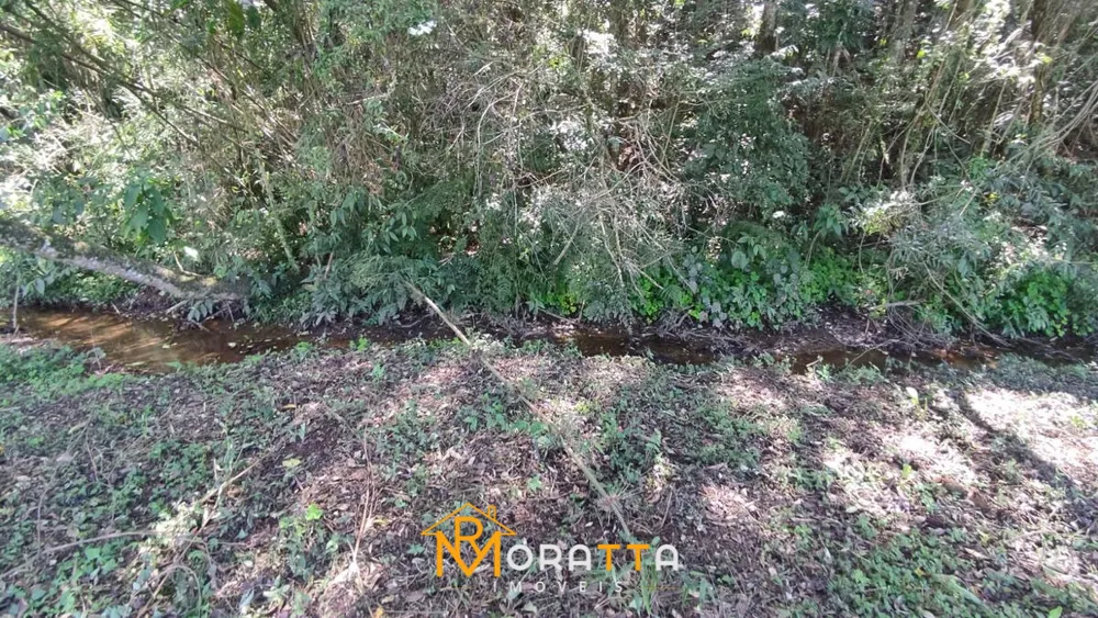 Chácara, 2 hectares - Foto 4