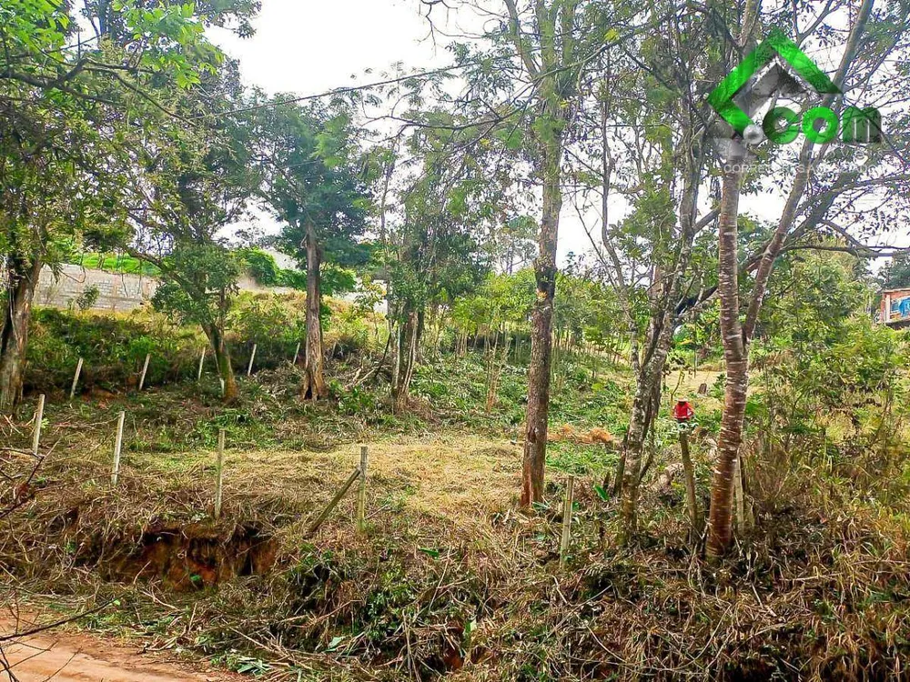 Terreno, 1000 m² - Foto 4
