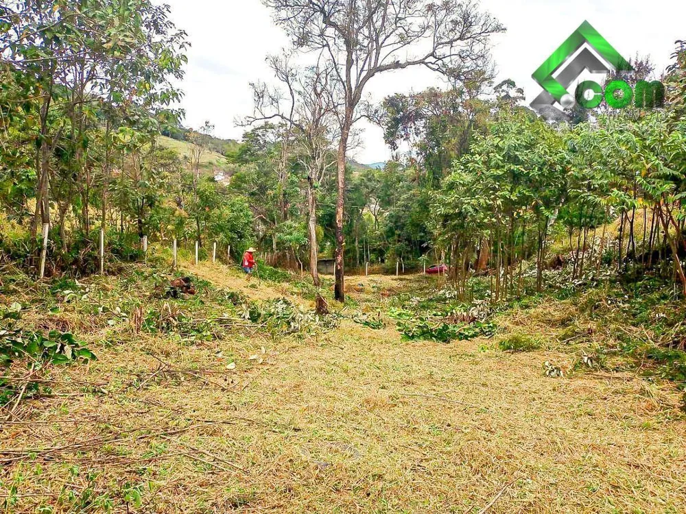 Terreno, 1000 m² - Foto 2
