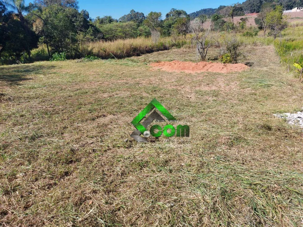 Terreno, 4903 m² - Foto 2