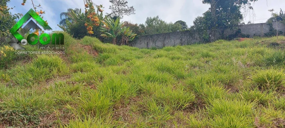 Terreno, 361 m² - Foto 3