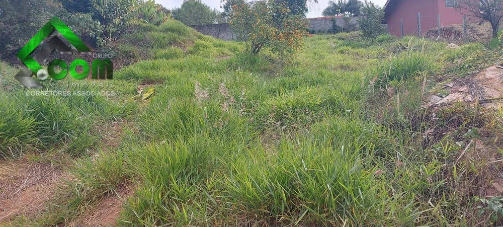 Terreno, 361 m² - Foto 4
