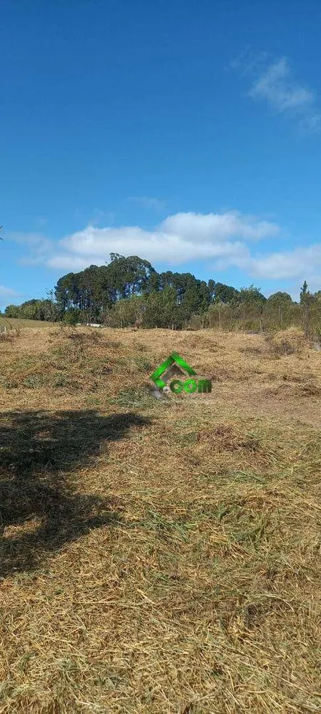 Terreno, 1130 m² - Foto 4