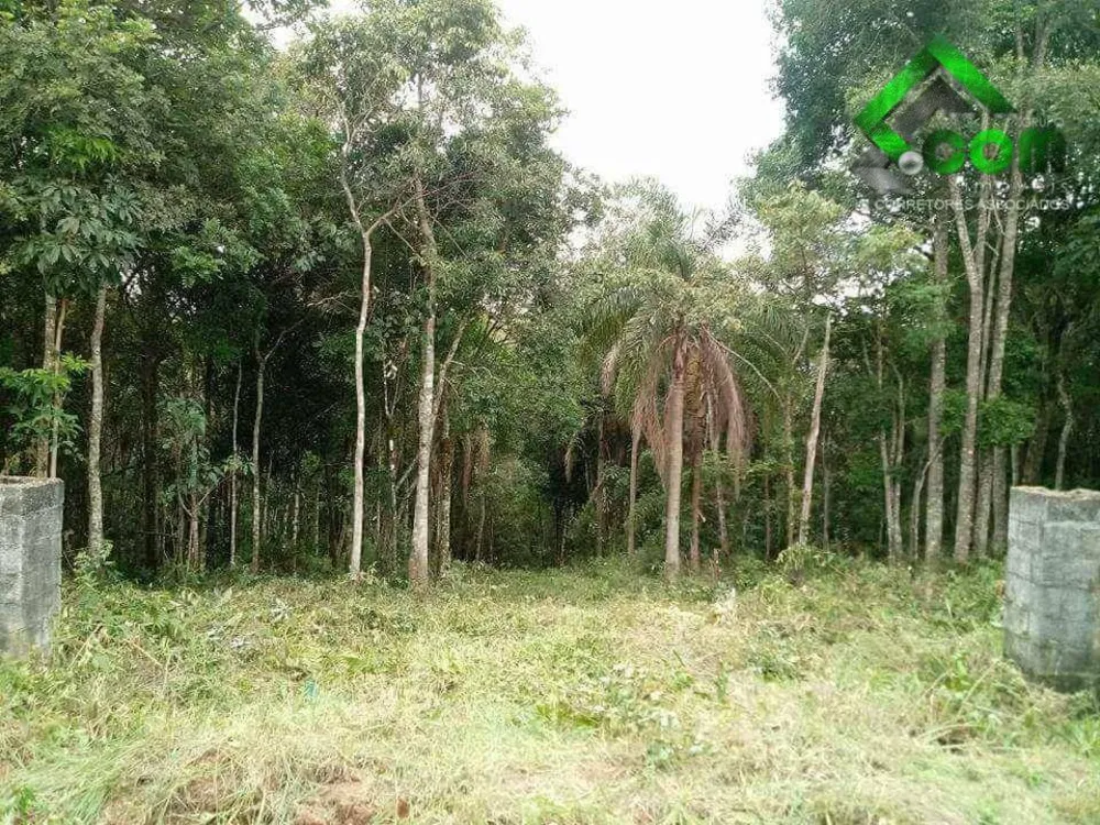 Terreno, 2 hectares - Foto 2