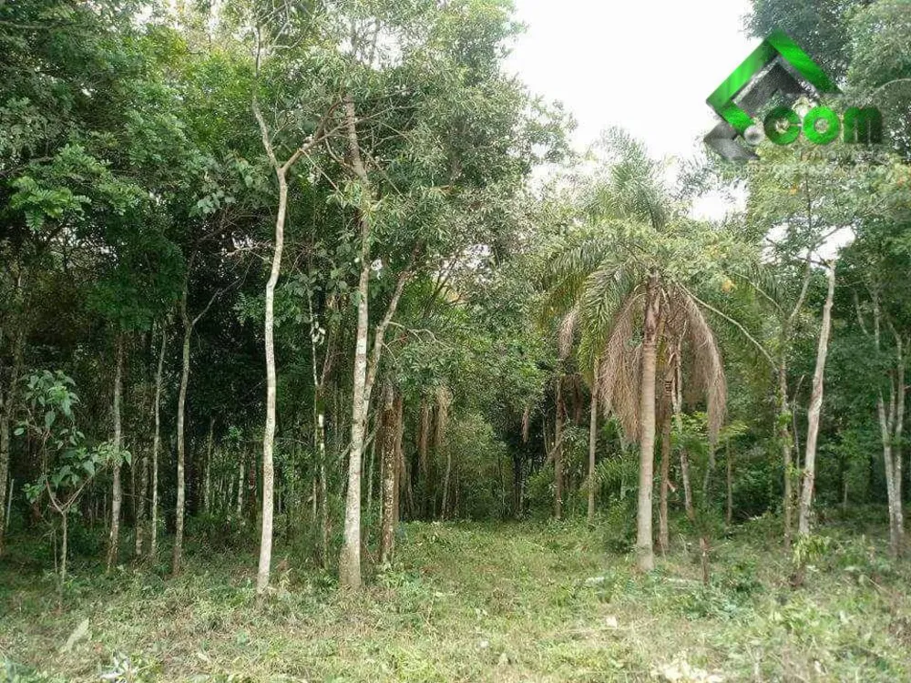 Terreno, 2 hectares - Foto 3