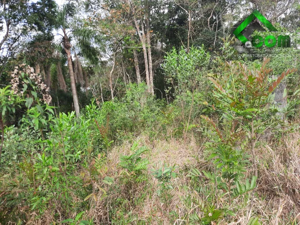 Terreno, 2 hectares - Foto 4