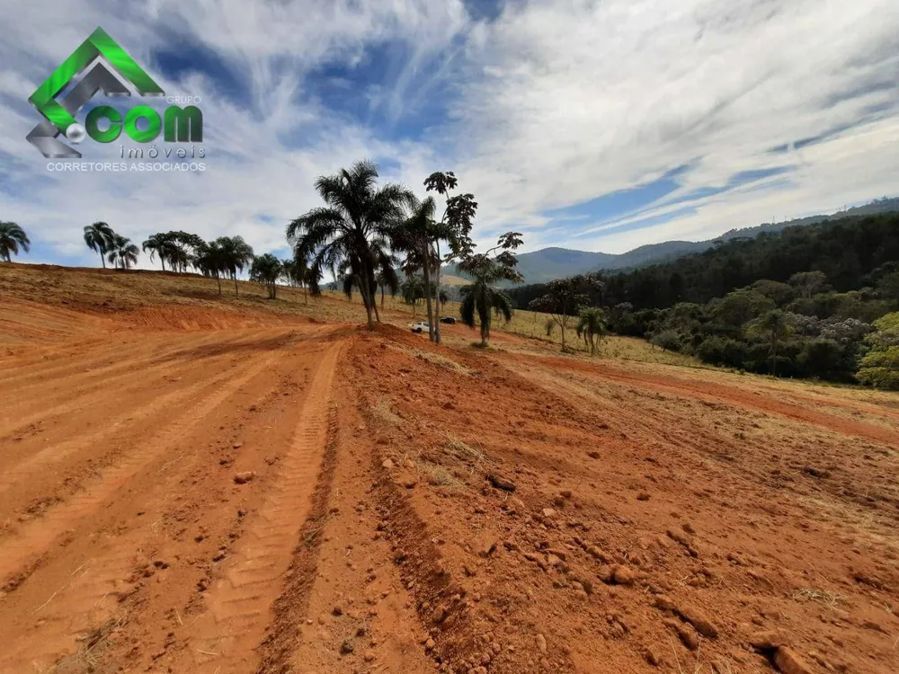 Terreno, 2 hectares - Foto 4