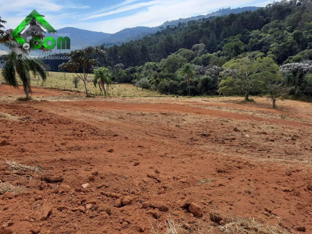 Terreno, 2 hectares - Foto 2