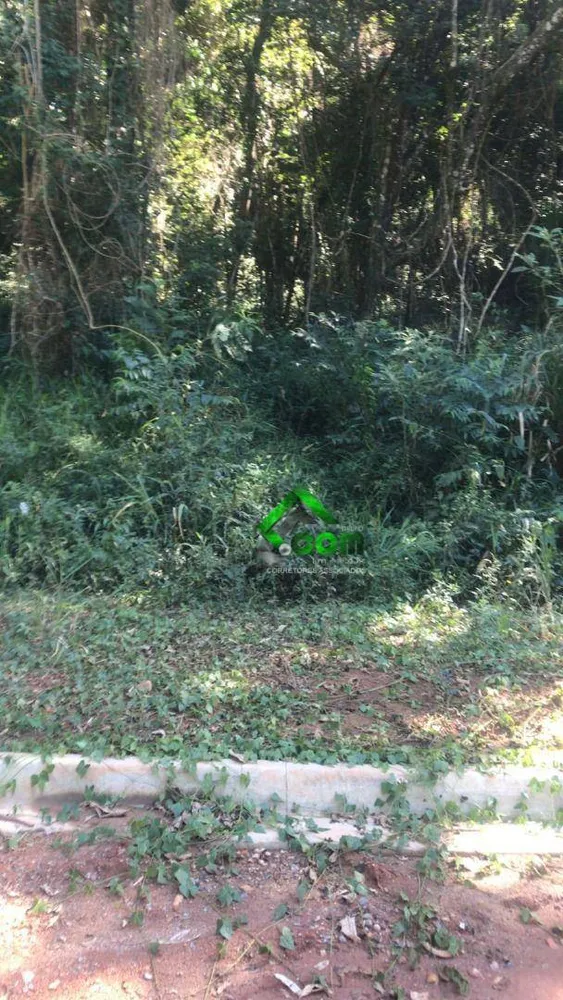 Terreno, 1000 m² - Foto 4