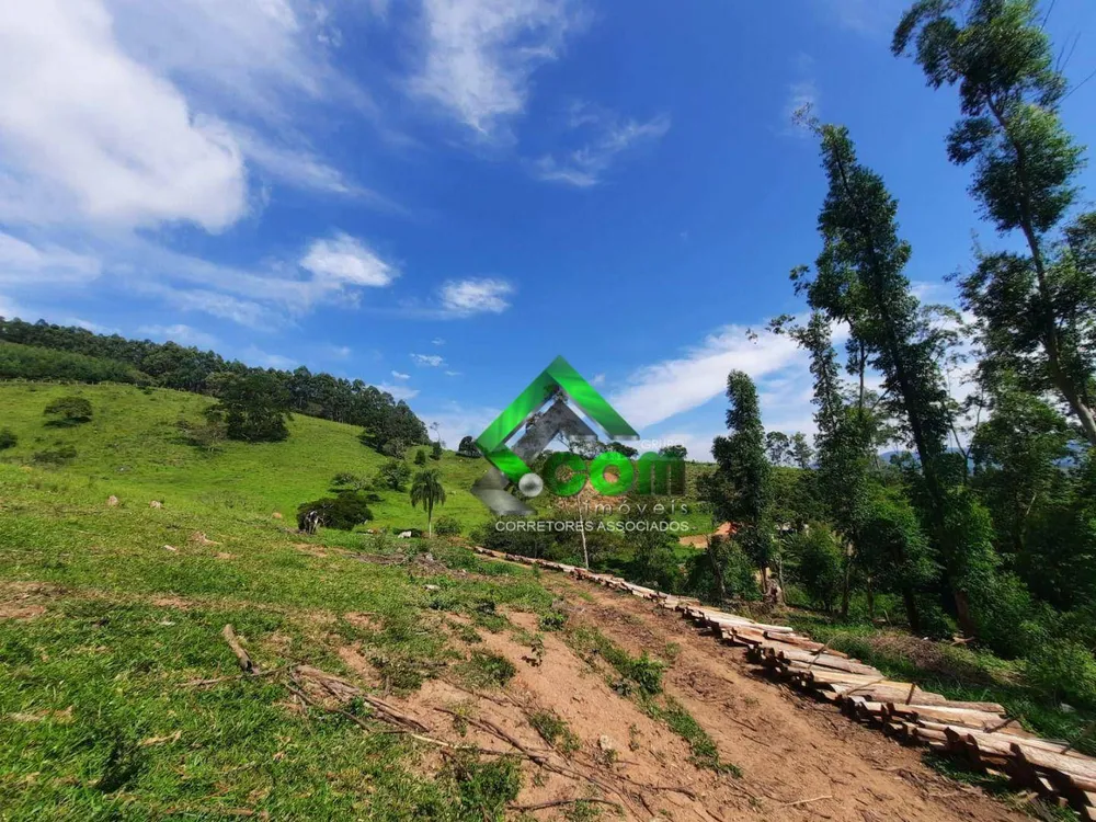 Sítio, 3 quartos, 5 hectares - Foto 4