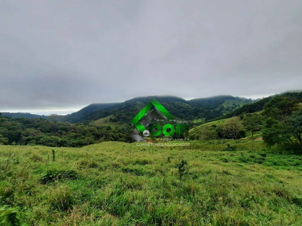 Sítio, 2 quartos, 41 hectares - Foto 4