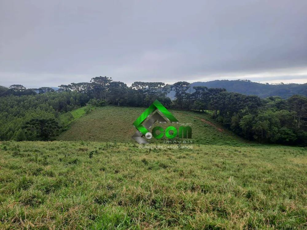 Sítio, 2 quartos, 41 hectares - Foto 3