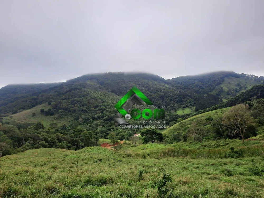 Sítio, 2 quartos, 41 hectares - Foto 1