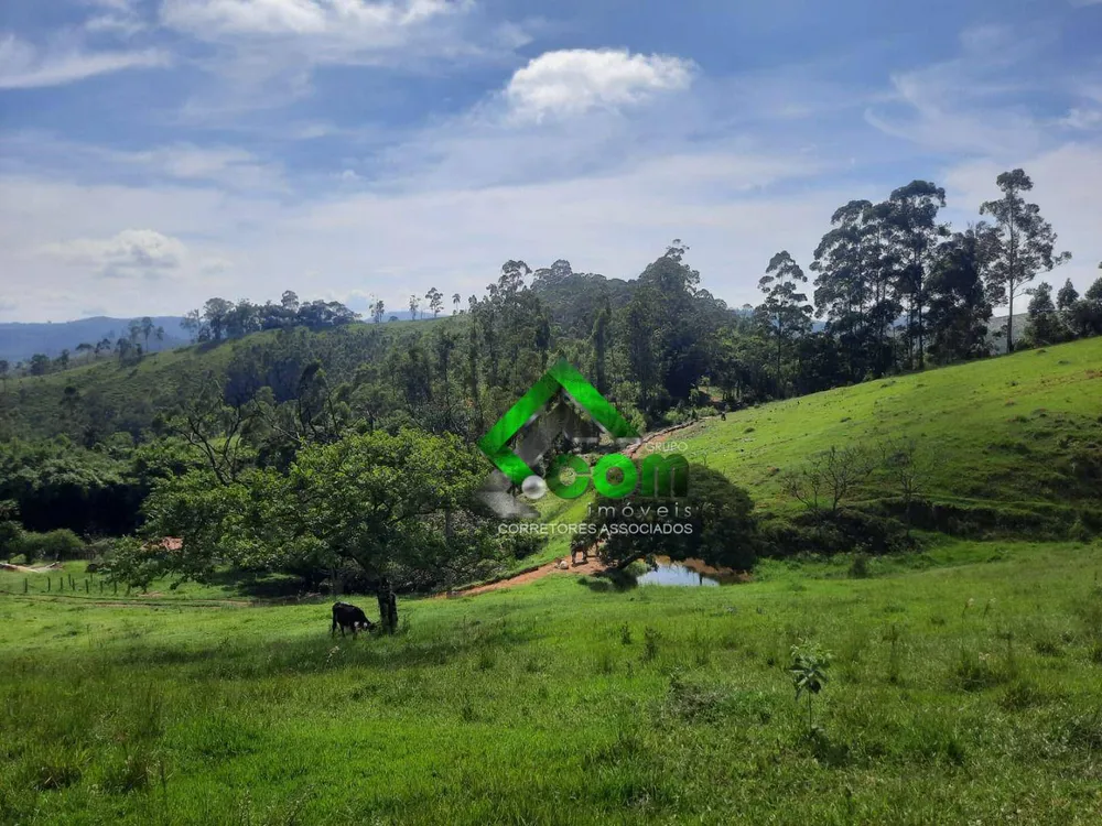 Terreno, 2 hectares - Foto 1