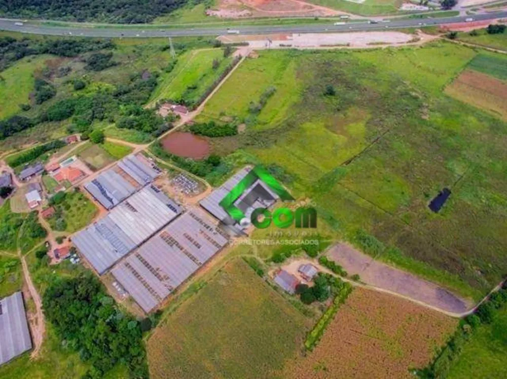 Terreno, 11 hectares - Foto 3