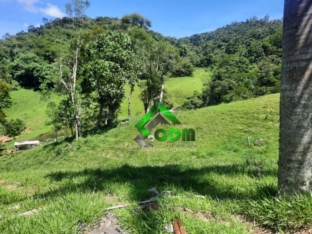 Sítio, 4 quartos, 39 hectares - Foto 4