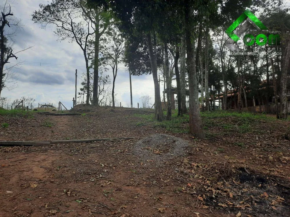Terreno, 2 hectares - Foto 1