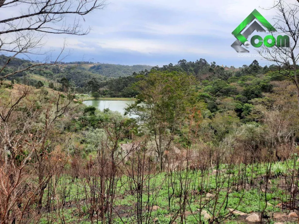 Terreno, 2 hectares - Foto 3