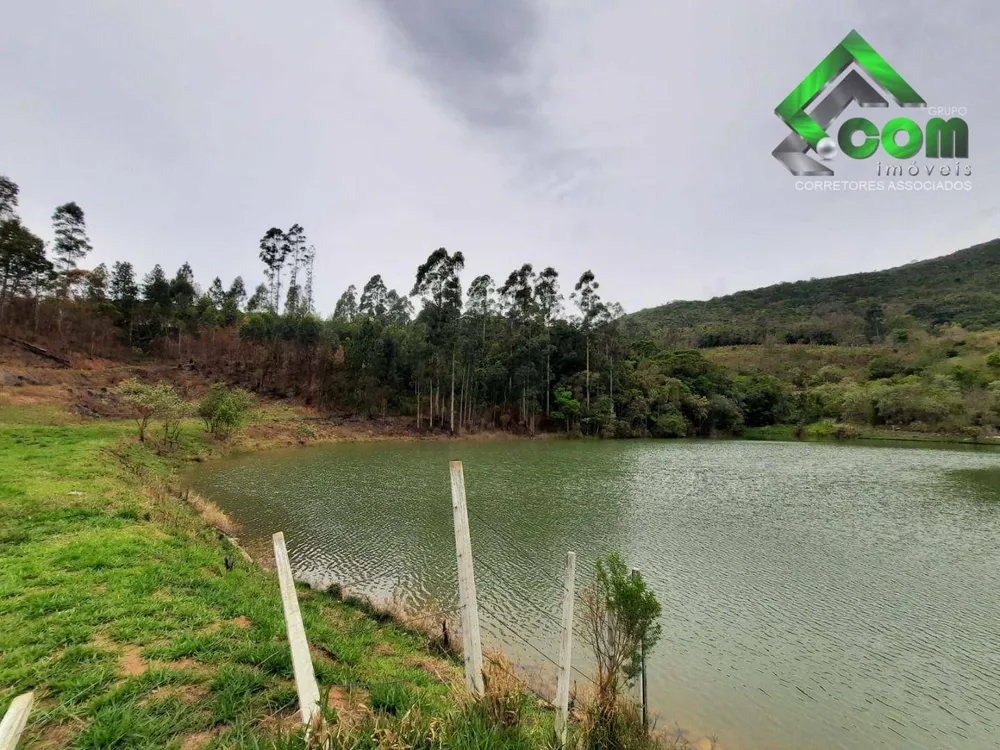 Terreno, 2 hectares - Foto 4