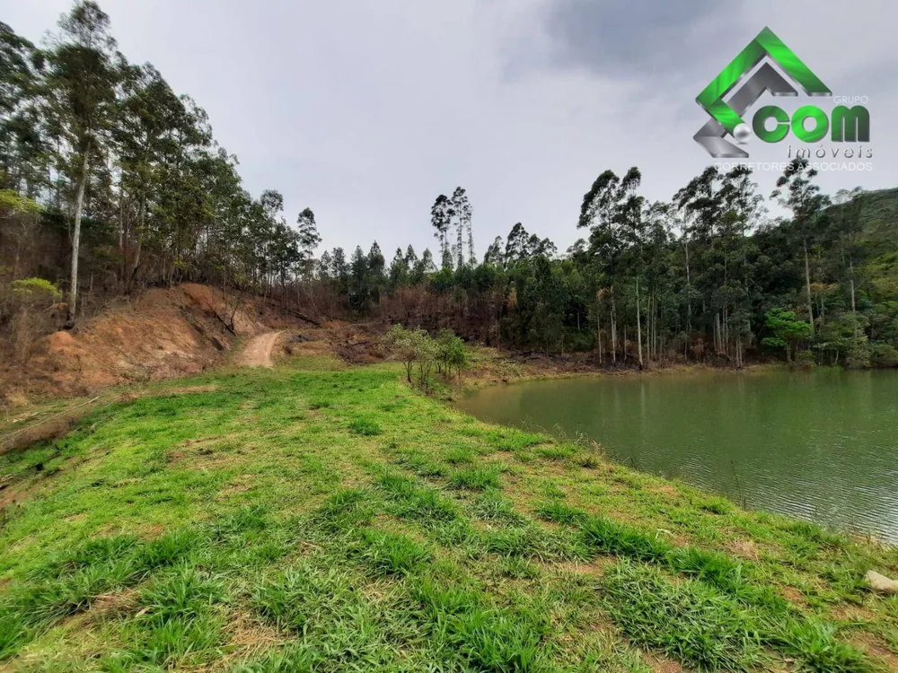 Terreno, 2 hectares - Foto 1
