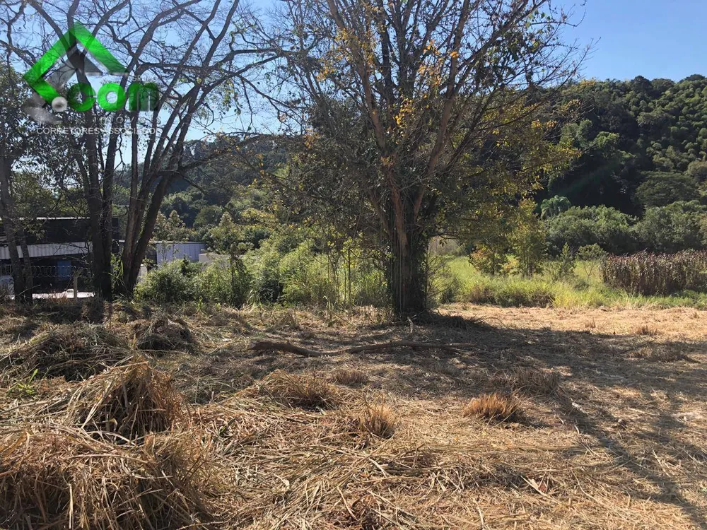 Terreno, 4819 m² - Foto 4
