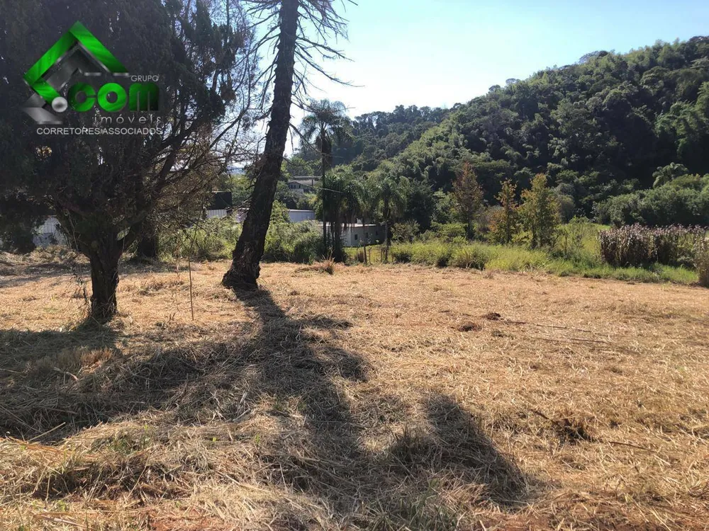 Terreno, 4819 m² - Foto 7