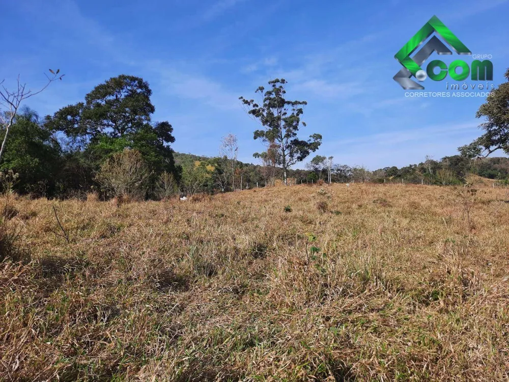 Terreno, 2 hectares - Foto 4