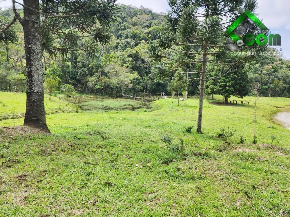 Terreno, 53 hectares - Foto 1
