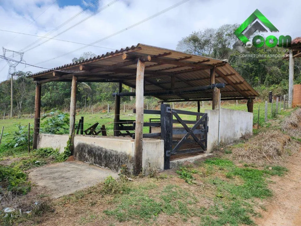 Terreno, 53 hectares - Foto 4
