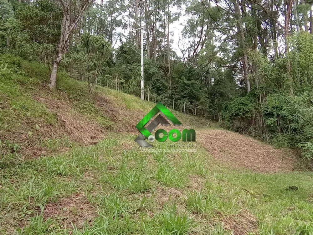 Loteamento e Condomínio, 5800 m² - Foto 3