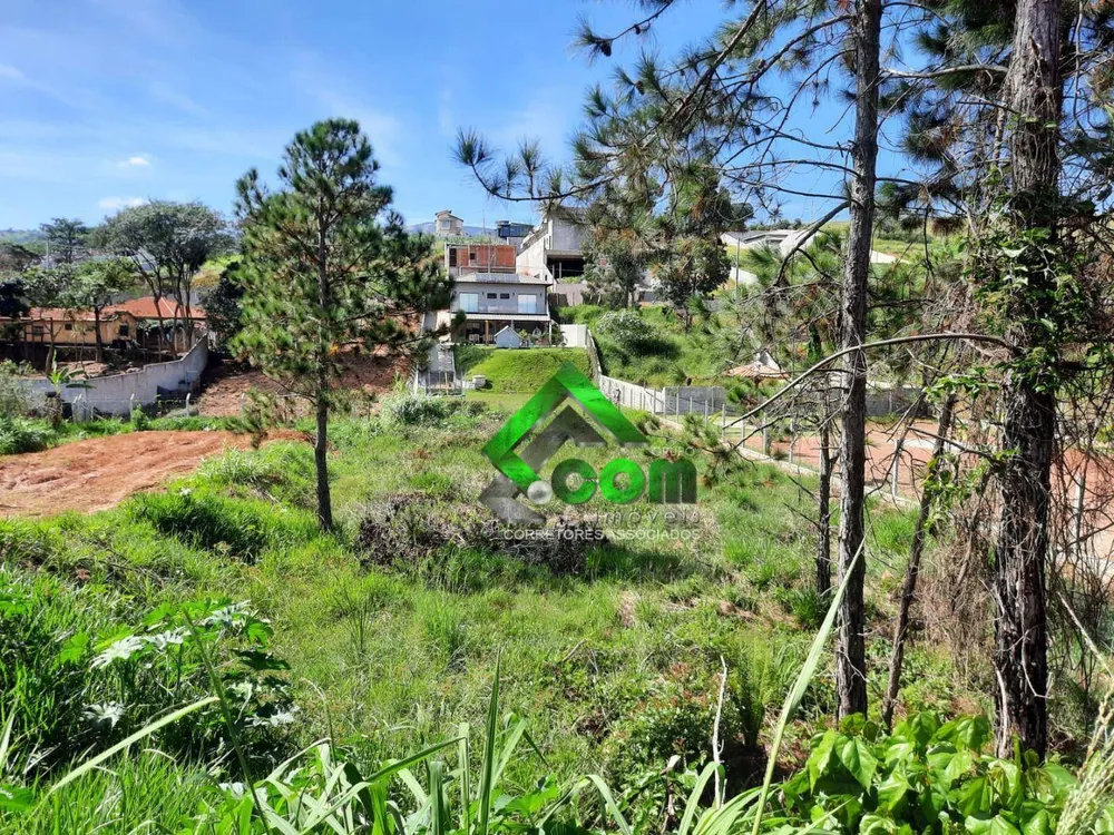Terreno, 630 m² - Foto 3