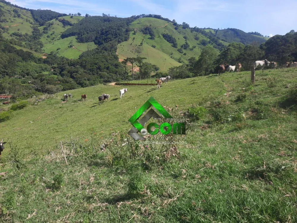 Sítio, 1 quarto, 41 hectares - Foto 1