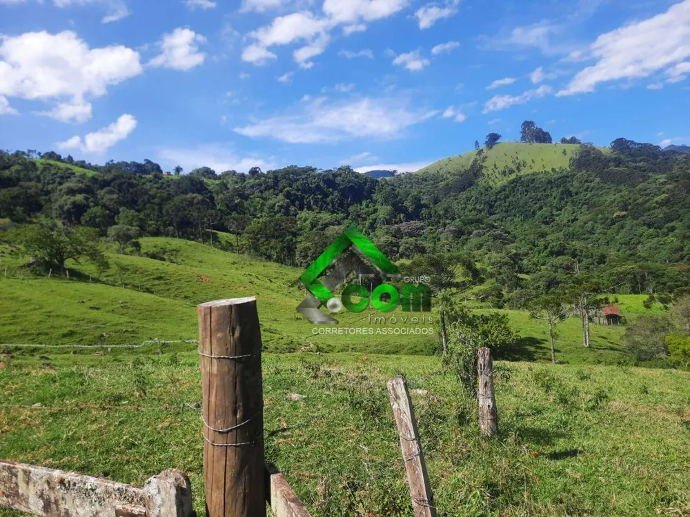 Sítio, 1 quarto, 41 hectares - Foto 2