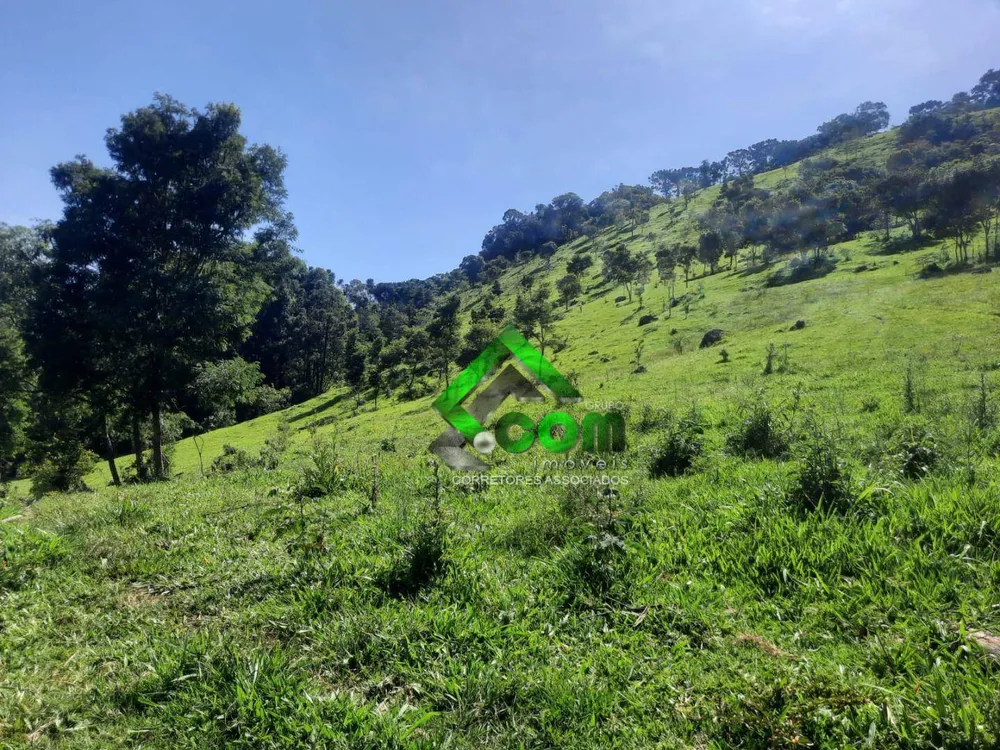 Sítio, 1 quarto, 41 hectares - Foto 4